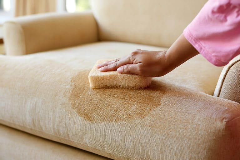 blotting a stain on a fabric couch with a cloth